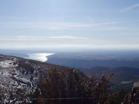 Trail n°4 - Sommet du Pavillon