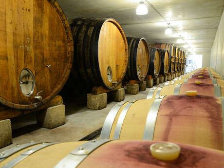 Wine tasting and tour at Vignobles Mayard