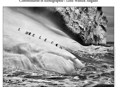 Sebastião Salgado "Genesis" photo exhibition
