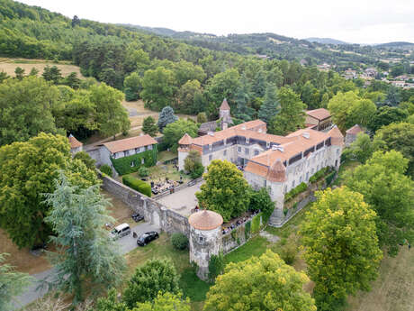 Château de Goutelas, Centre culturel de rencontre