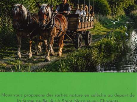 Les traits de Bel Air : sortie nature en calèche