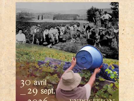 Les Hommes du Brulhois