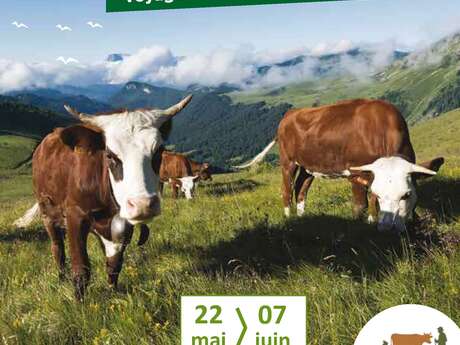 Les Semaines du Géoparc du Chablais - édition 2026