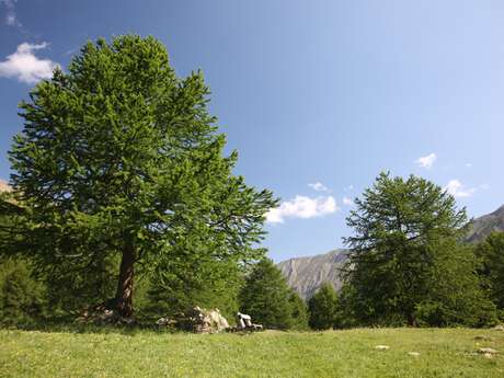 Boucle du Grand Vallon - Itinéraire VTTAE n°7