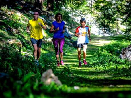 Trail - Le chemin du garde (vert)