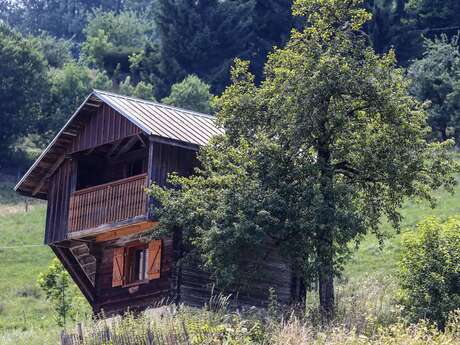 1000 borne caffè - Au Petit Mazot