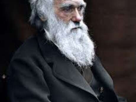 Conférence : De Darwin au darwinisme social