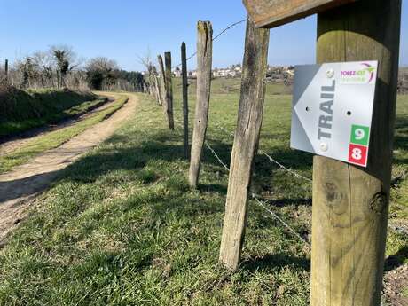 Parcours trail 8 - Entre bois et ruisseaux de Saint-Médard à Aveizieux