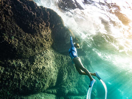 Expérience Méditerranée