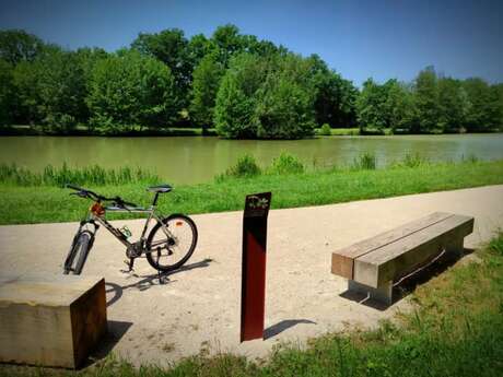 Circuit VTT-VTC n°16 (bleu) - Domaine de Mépillat et Grand Montrachy