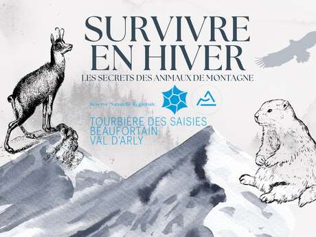 Jeu animé par la RNR "Survivre en hiver : les secrets des animaux de montagne"