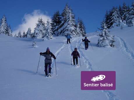 Les Glaciers - Randonnée hivernale