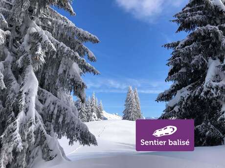 Fimaloz (Agy) - Randonnée hivernale