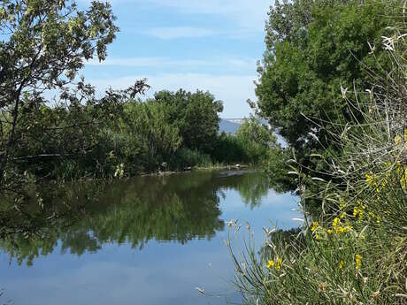 Randonnée commentée : Village de pêcheurs, pavillon de chasse et observatoire du milieu naturel