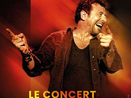 Patrick Bruel : le concert au cinéma