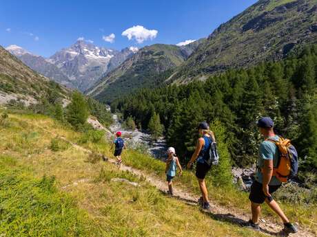 Le vallon de Navette