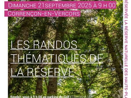 Rando Thématique  Forêt / balade ludique