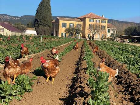 Ferme Auvrai