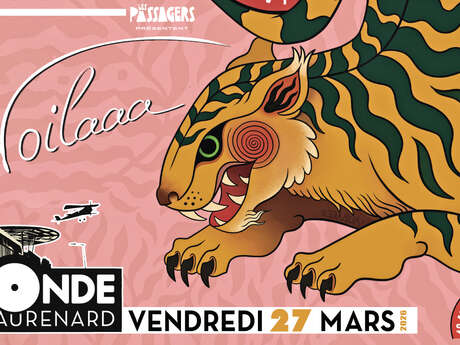 Voilaaa Sound System