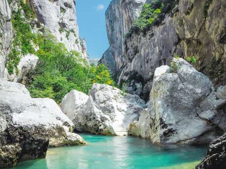 Aloha Verdon