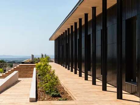 Dégustation accompagnée d’une planche gourmande - Domaine de Piéblanc