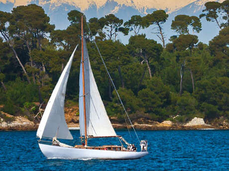 SailCannes