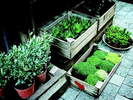 Foire aux plantes et vide grenier