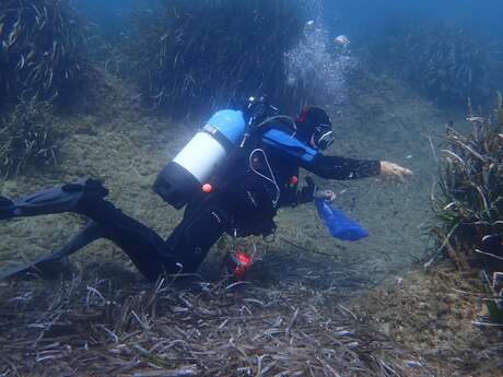 Nettoyage des fonds marins
