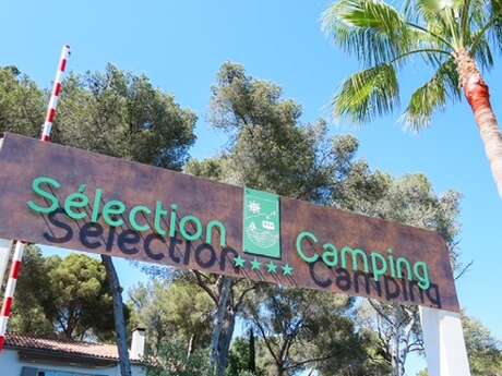 Selection Camping