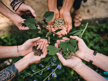 Atelier d'herboristerie