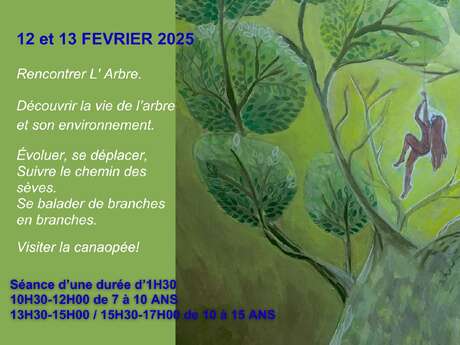 Jeune public - Stage de grimpe d'arbres au Jardin de Baudouvin