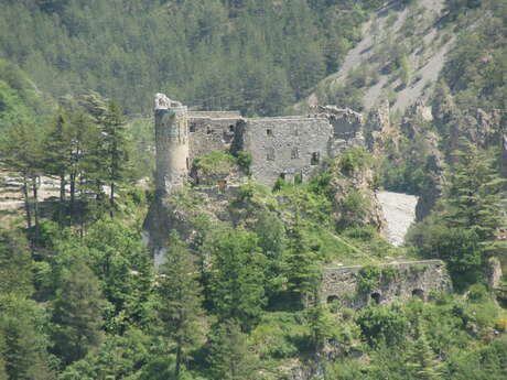 Chateau de Guillaumes, dit de la Reine Jeanne