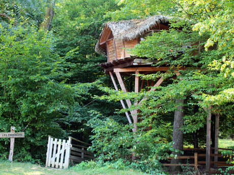 Cabane Perchée Chasseur - DDLD