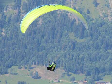 Coach Pilot Tour en parapente