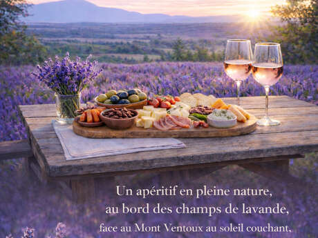 Sunset Lavande : Apéritif dinatoire au bord des champs de lavande