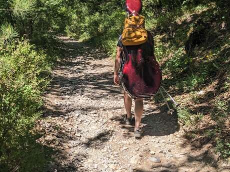 Retrouvance® Musique au cœur des forêts