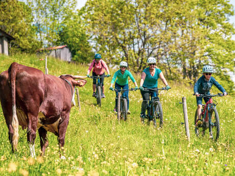 Randonnée à VTT électrique