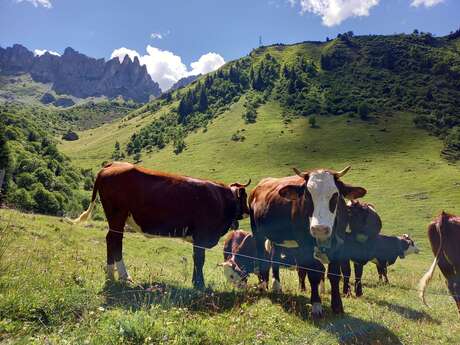 Les alpages sont à la page