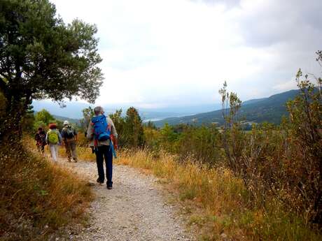 The botanical trail of Tréguier