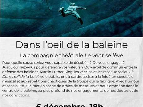 Dans l'œil de la baleine