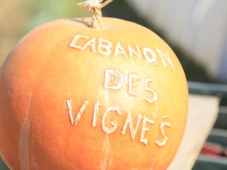 Cabanon des vignes