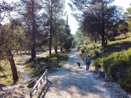 Rando marcher-autrement à Châteauneuf-de-Gadagne : Les Glaussières