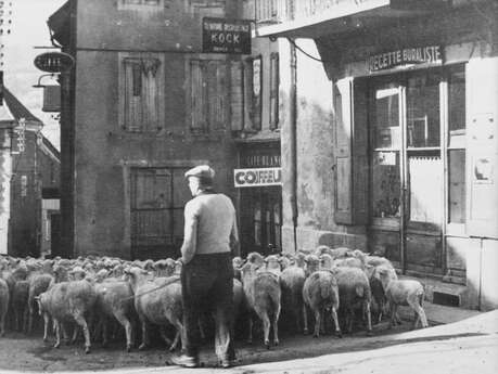 Visite guidée du circuit Vivian Maier de Saint-Bonnet