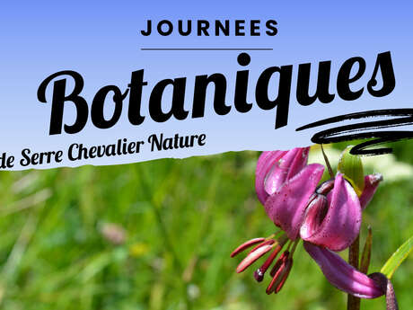 Conférence : balade botanique sur les pentes du Galibier