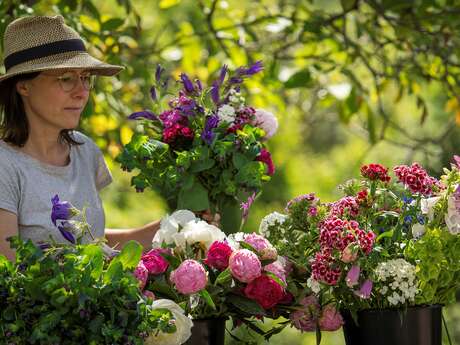 Le Champ des Ombelles