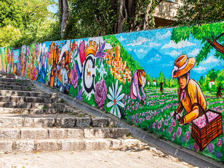 Fresque XXL sur le Parfum - Clément Dixneuf