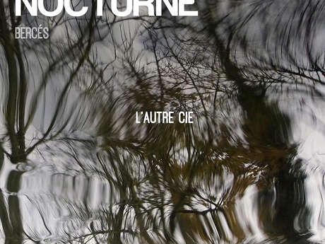 Expérience poétique nocturne