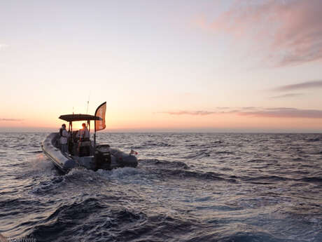 Suzuki Master Fishing - Angeln