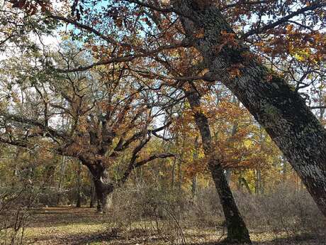 Circuit VTT : VTT Sous tension