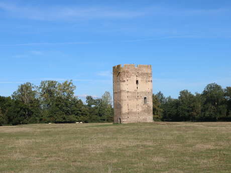 Donjon de Lespinasse